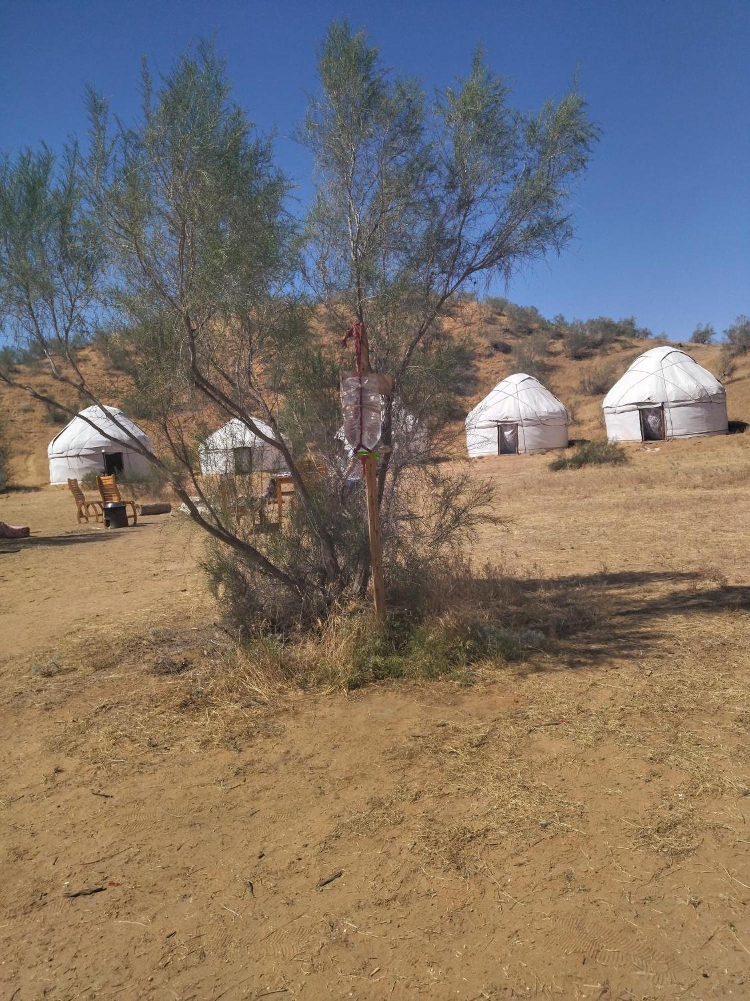 Authentic Uzbek Yurt Camp Eco-Friendly Otel Nurota Dış mekan fotoğraf